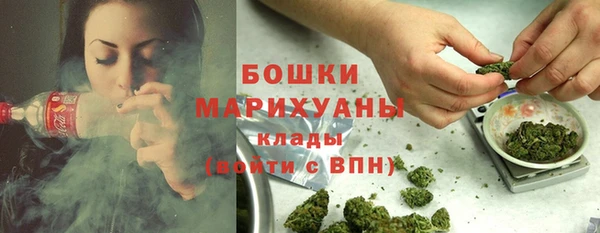 гашик Белокуриха