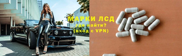 гашик Белокуриха