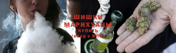 гашик Белокуриха