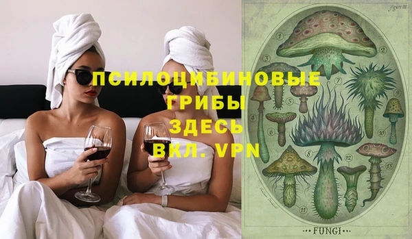 гашик Белокуриха