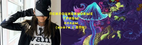 эйфоретик Алзамай