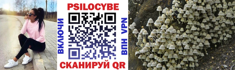 Псилоцибиновые грибы Psilocybine cubensis  Петропавловск-Камчатский 