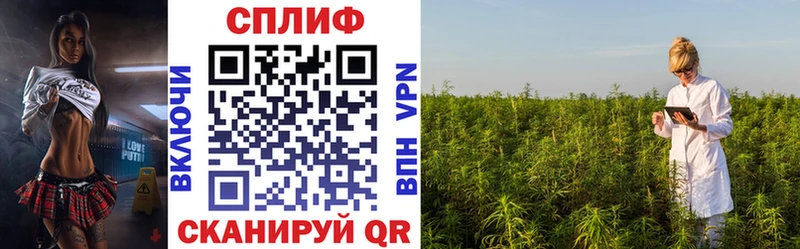 ссылка на мегу как войти  где купить наркоту  Петропавловск-Камчатский  Бошки марихуана White Widow 